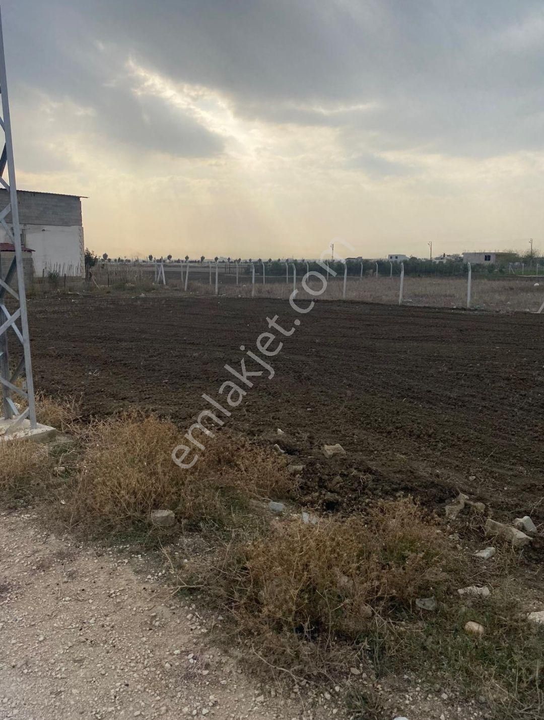 Adana İmamoğlu Fatih Mahallesi Kozan Çevre Yoluna 3.parsel 3 Kata İmarlı 481 M2 Müstakil Tapu - Görsel 6