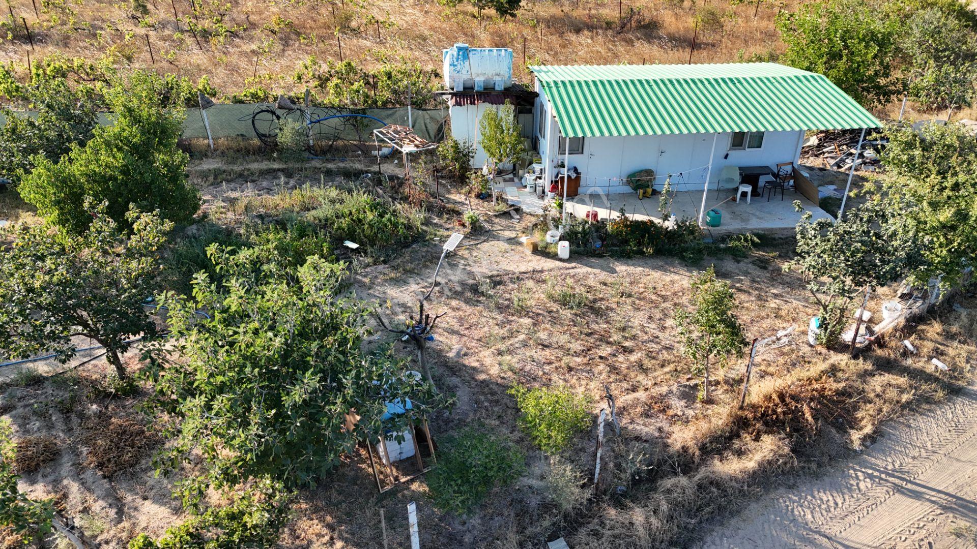 Kızılcıkdere'nin Meşhur Üzümlerinin Arasında Bal Üretim Bahçesi - Görsel 31