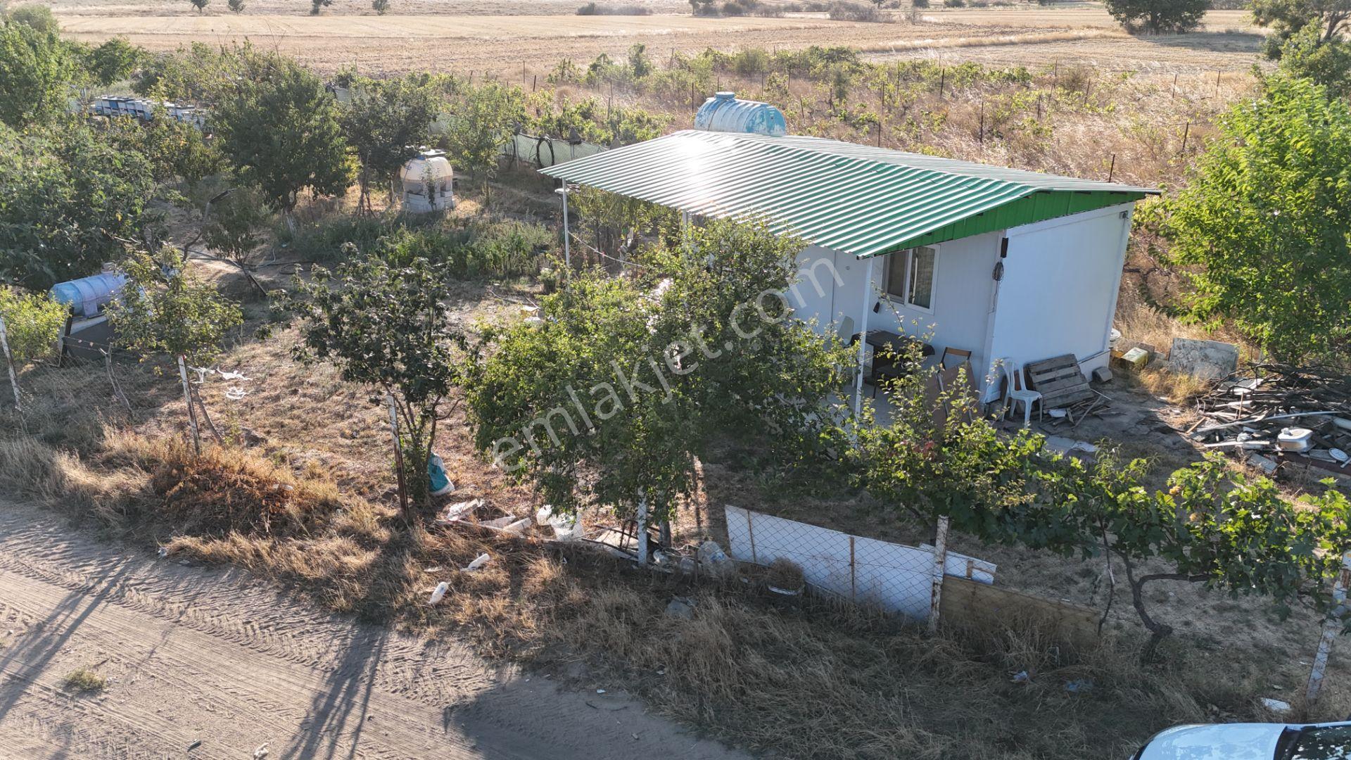 Kızılcıkdere'nin Meşhur Üzümlerinin Arasında Bal Üretim Bahçesi - Görsel 12