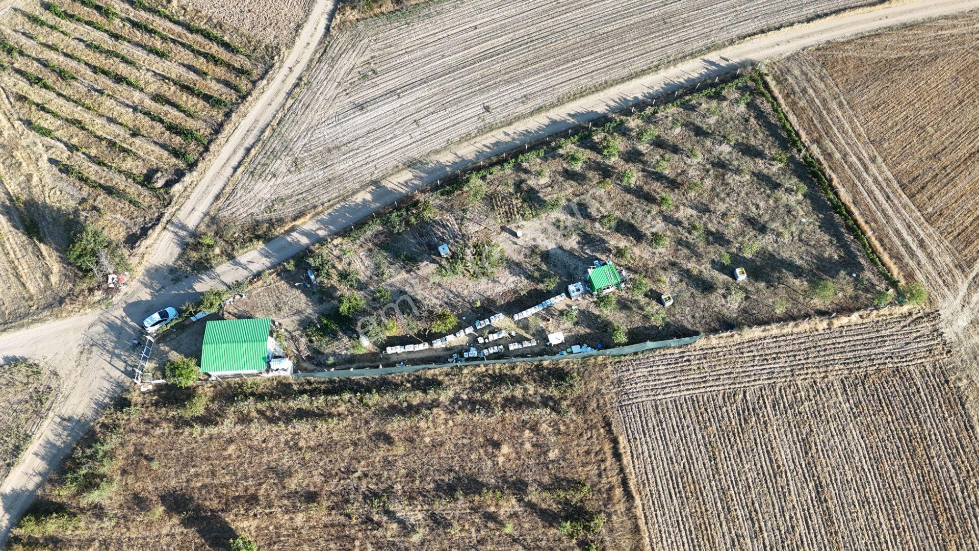 Kızılcıkdere'nin Meşhur Üzümlerinin Arasında Bal Üretim Bahçesi - Görsel 18