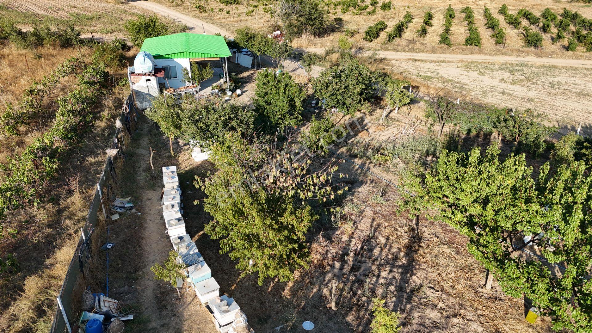 Kızılcıkdere'nin Meşhur Üzümlerinin Arasında Bal Üretim Bahçesi - Görsel 28