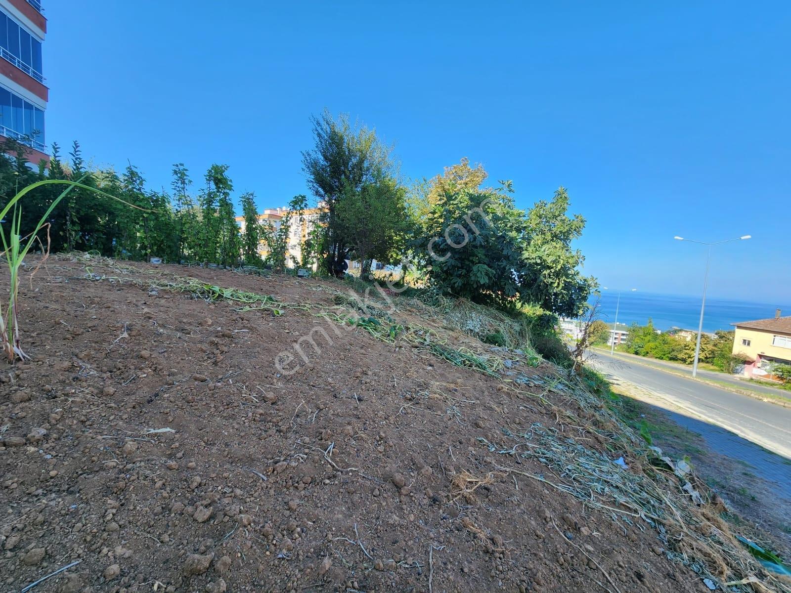 Trabzon Pelitli'de Mükemmel Konumda Satılık 300 M² İmarlı Arsa - Görsel 5