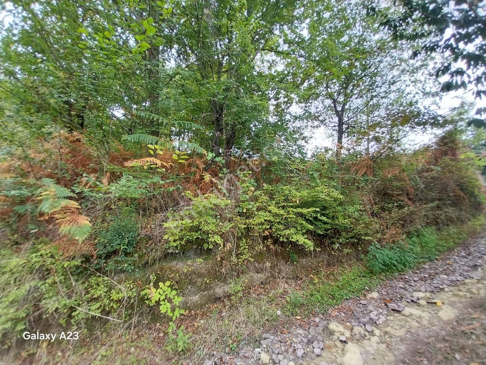Yeşilyalı'da (ladom) Satılık 2800m² Arazi - Görsel 2