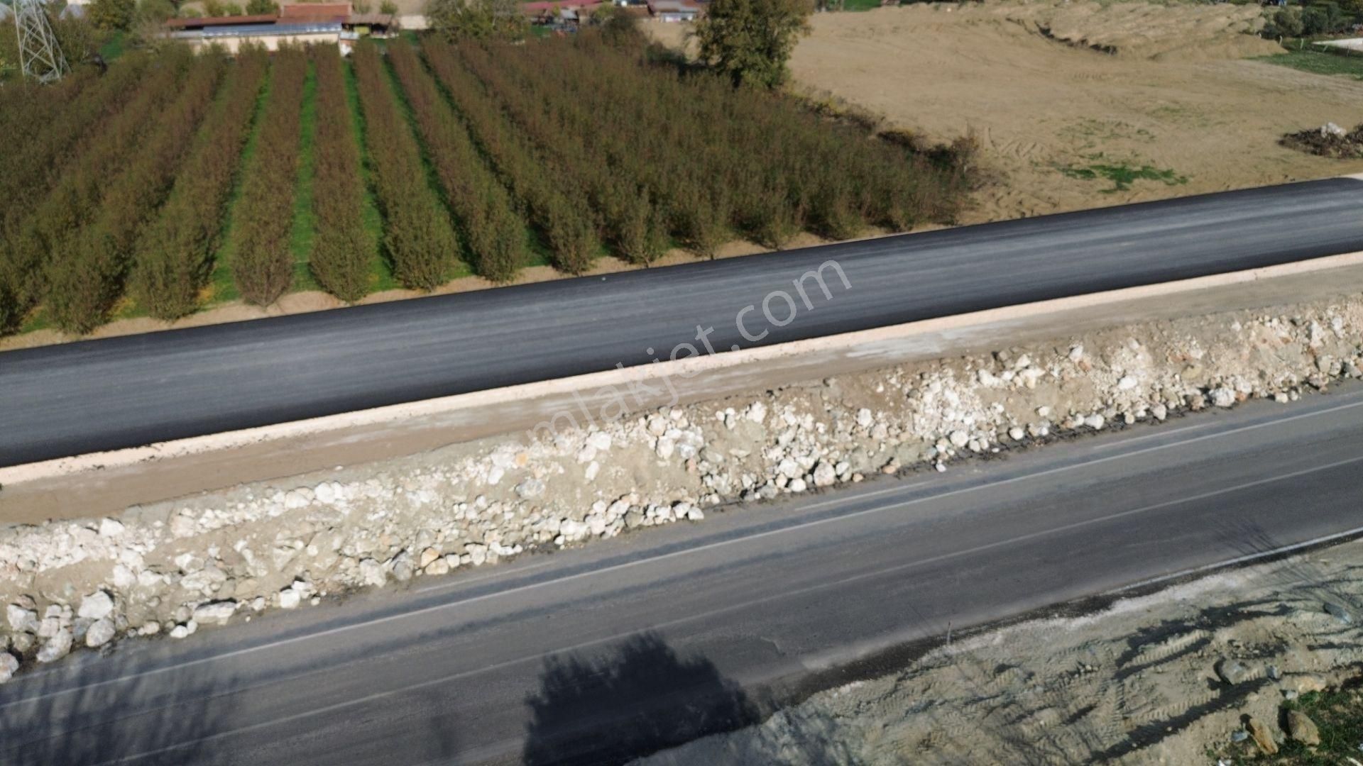 İzmir Tire Hisarlık Mah. Satılık Fırsat Zeytin Ve Meyve Bahçesi ! - Görsel 7