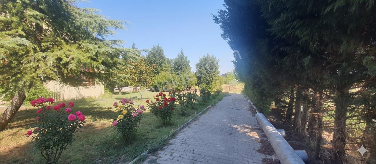 Smyrna Team’den Menderes’te Satılık 4+1 Villa, 7 Dönüm Bahçe İçinde - Görsel 16