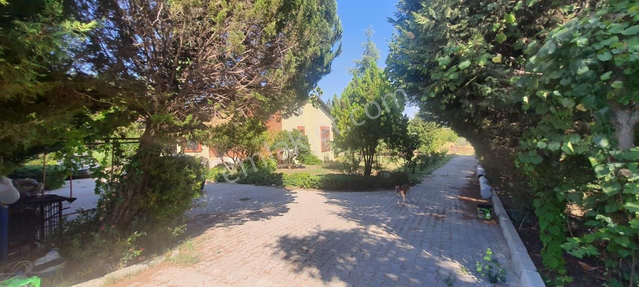 Smyrna Team’den Menderes’te Satılık 4+1 Villa, 7 Dönüm Bahçe İçinde - Görsel 13