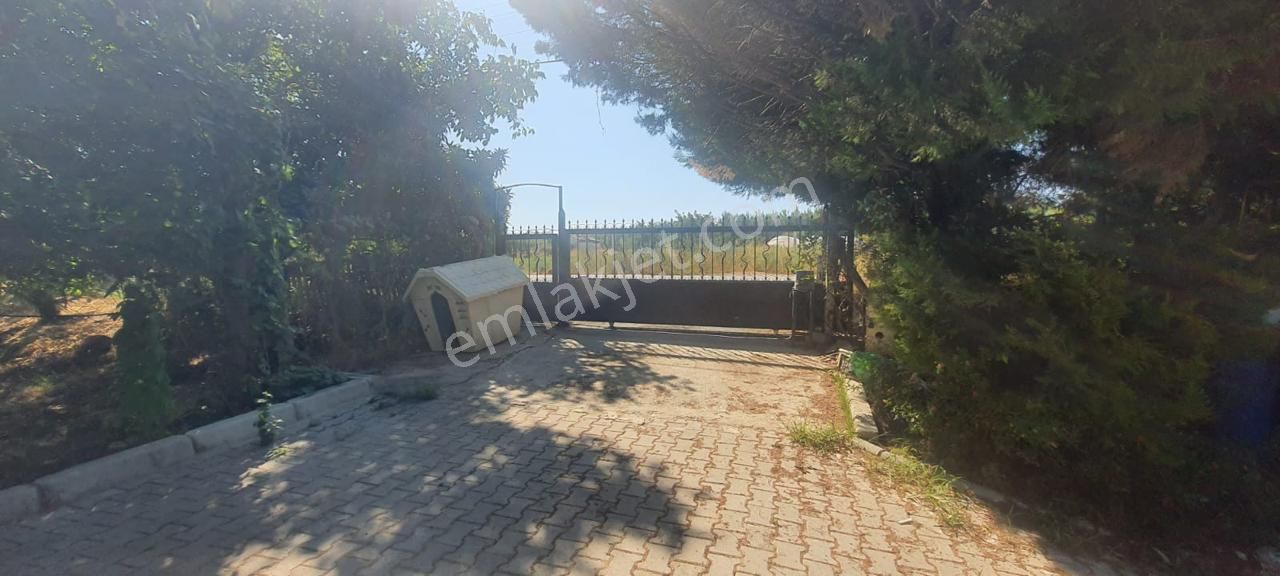 Smyrna Team’den Menderes’te Satılık 4+1 Villa, 7 Dönüm Bahçe İçinde - Görsel 32