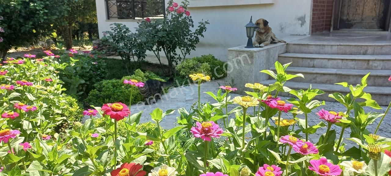 Smyrna Team’den Menderes’te Satılık 4+1 Villa, 7 Dönüm Bahçe İçinde - Görsel 33