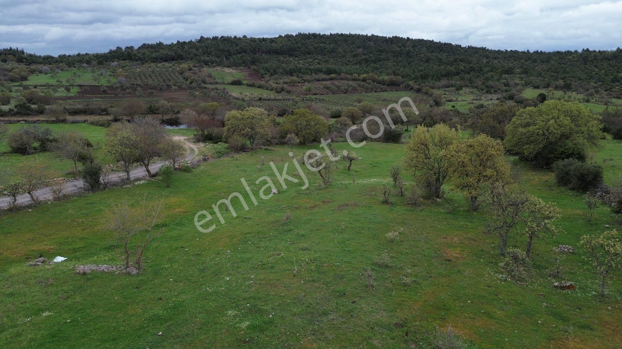 Sağancı Mahallesi Satılık 3476 M² Zeytinlik - Görsel 14
