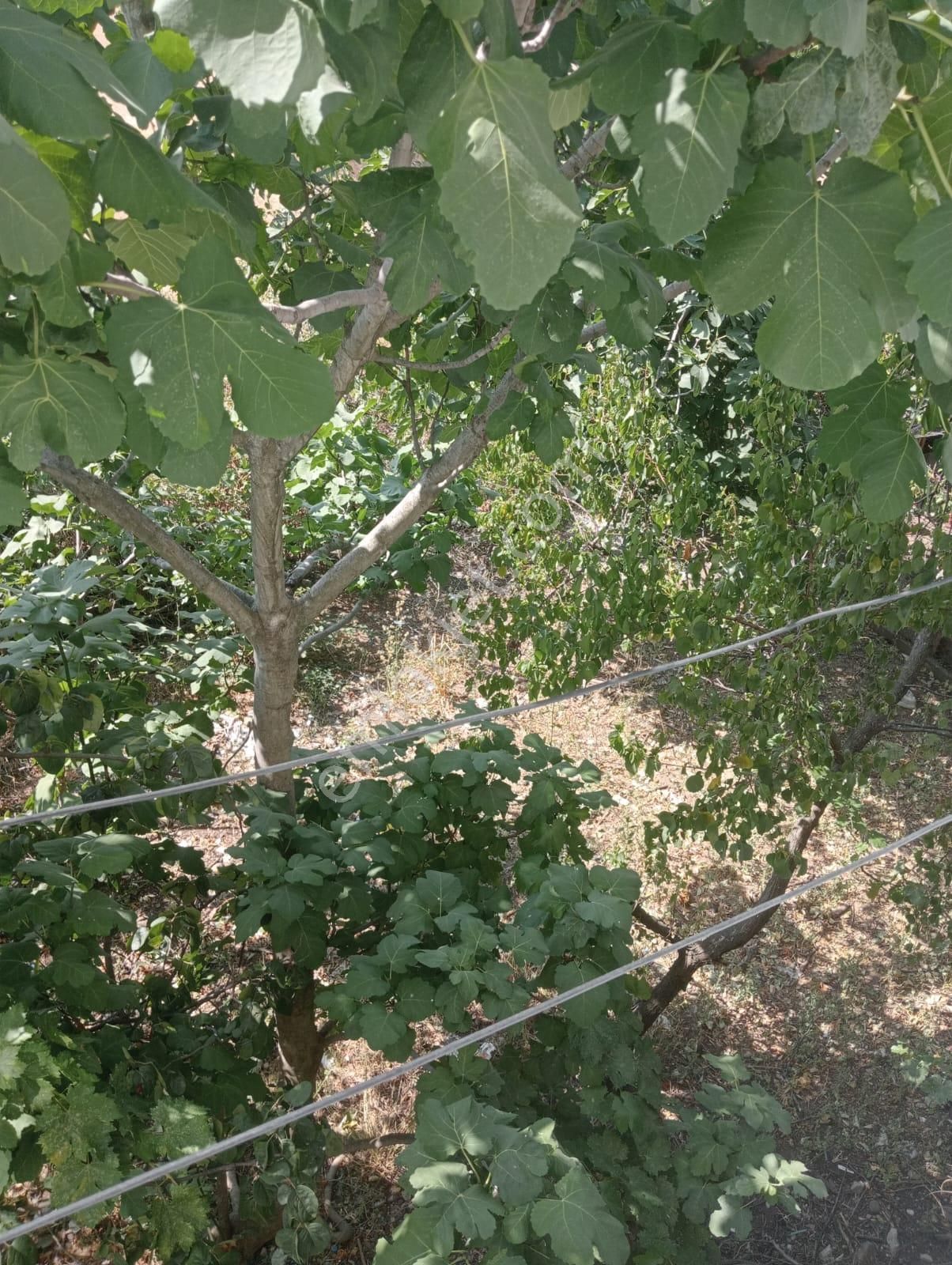 Adalet Gold Group Emlak'tan Satılık Müstakil Daire Ve Arsa Uygun Fiyata 50.yıl'da - Görsel 10