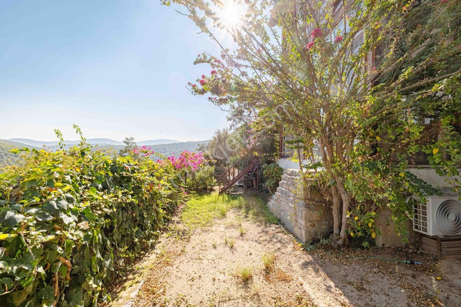 Bodrum Adabükü Çamlık Sitesi'nde Doğa Manzaralı Dubleks - Görsel 6