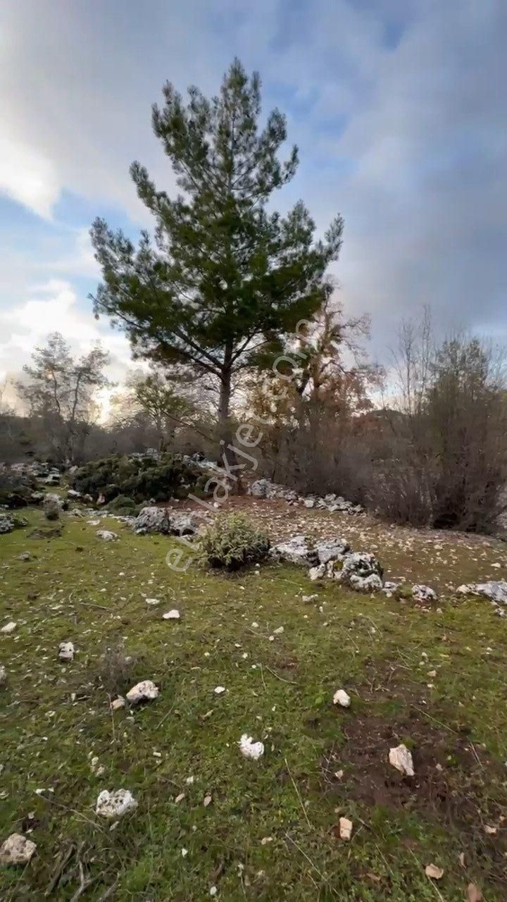 Demre Belören Satılık Fırsat Arazi - Görsel 13