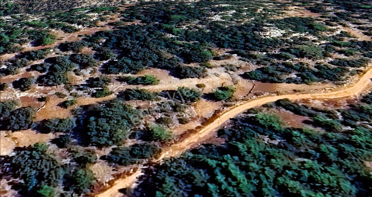 Demre Belören Satılık Fırsat Arazi - Görsel 4