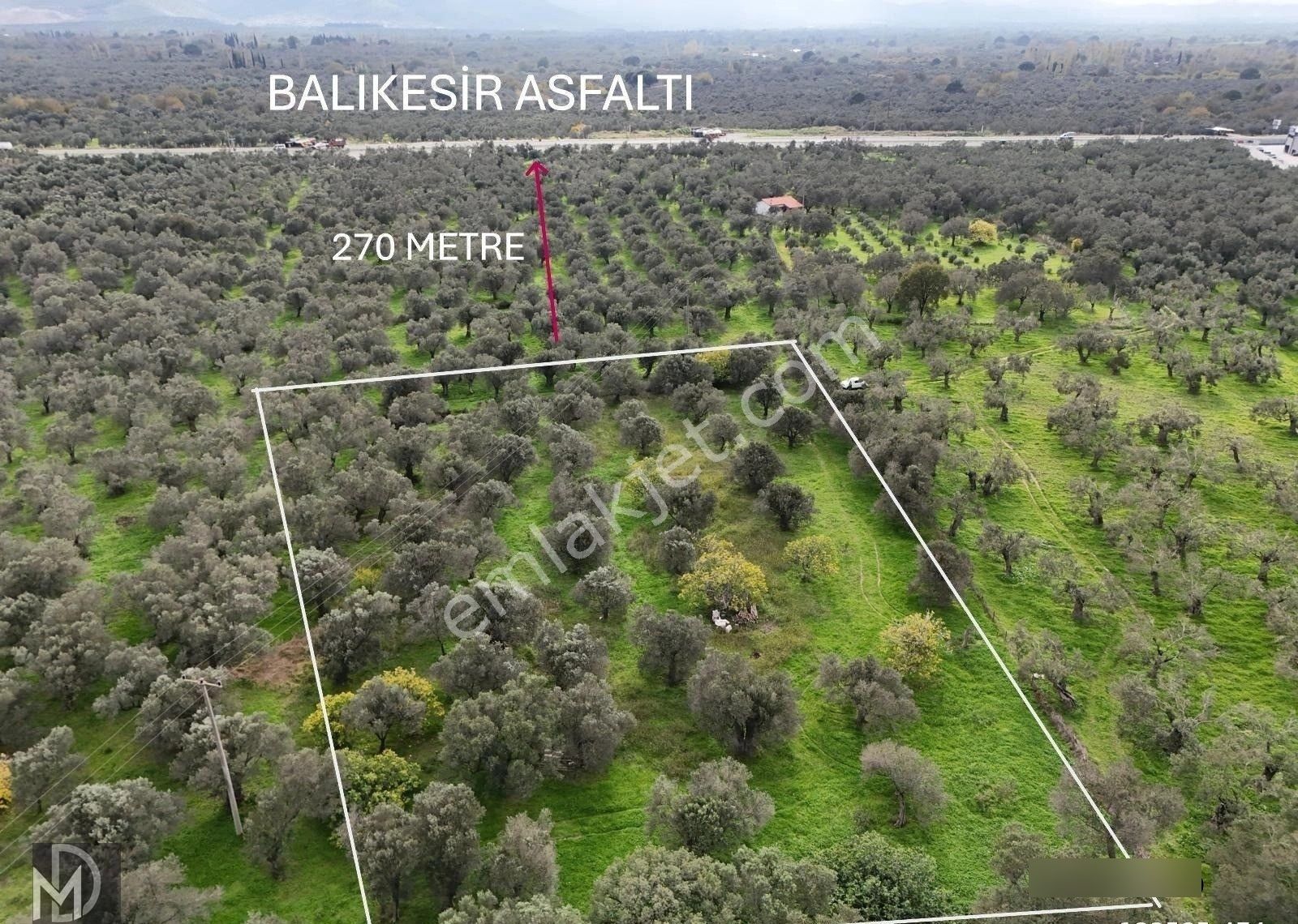 Mert Dinç'ten Cem Zeytincilik Arkası Asfalta Çok Yakın 5 Dönüm Muhteşem Zeytinlik - Görsel 14