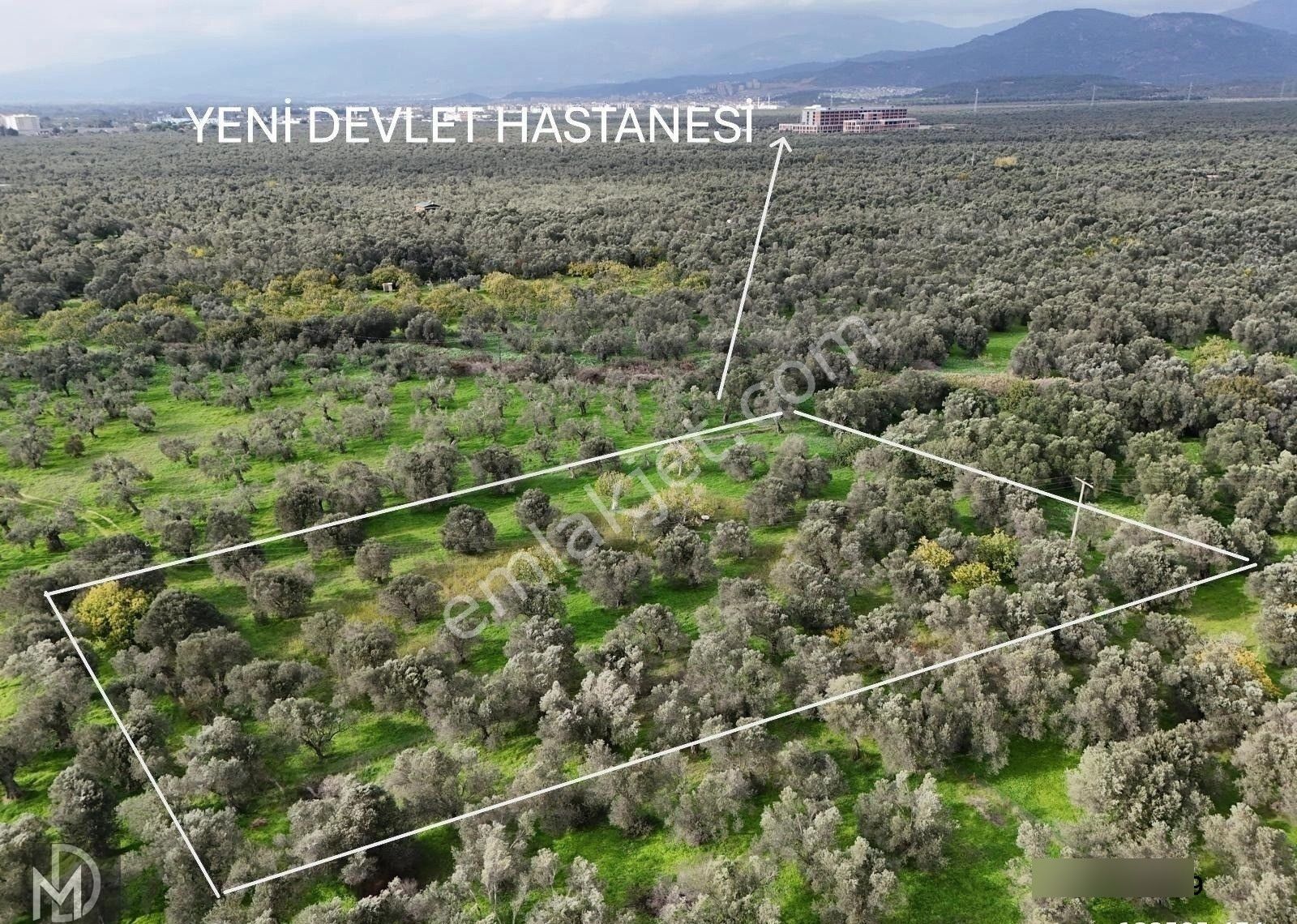 Mert Dinç'ten Cem Zeytincilik Arkası Asfalta Çok Yakın 5 Dönüm Muhteşem Zeytinlik - Görsel 6