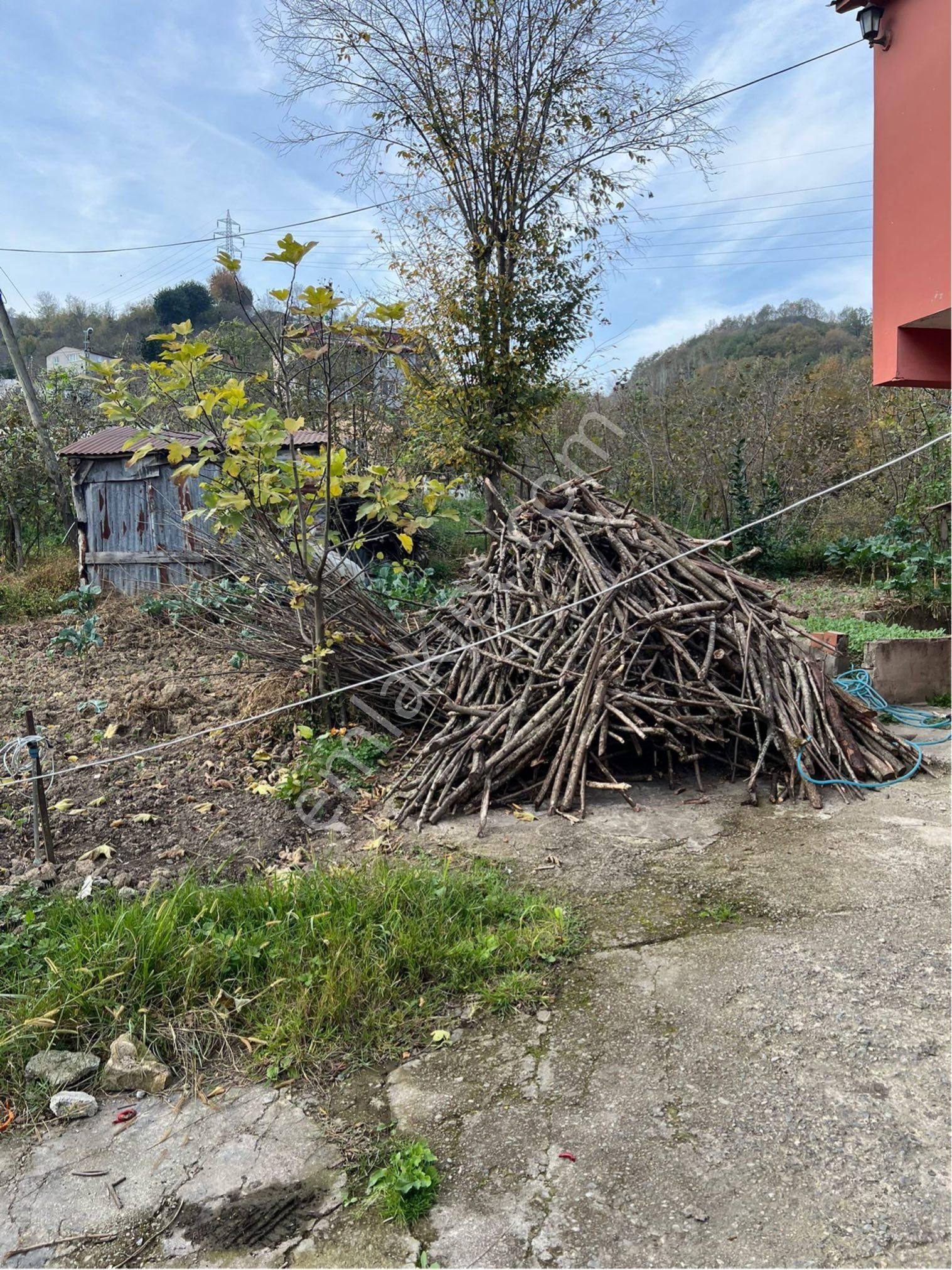 Satılık 1500 M2 Bahçe İle İçindeki Bina - Görsel 5