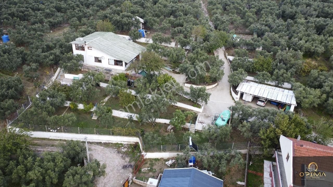 Opima Emlaktan Zeytinlik İçinde Müstakil Ev - Görsel 16