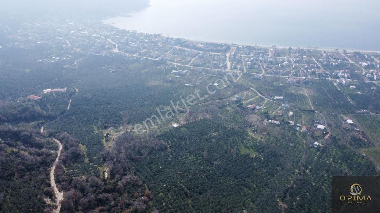 Opimadan Ocaklarda Yolu Açılmış 12.786m² Alana Sahip Zeytinlik - Görsel 17