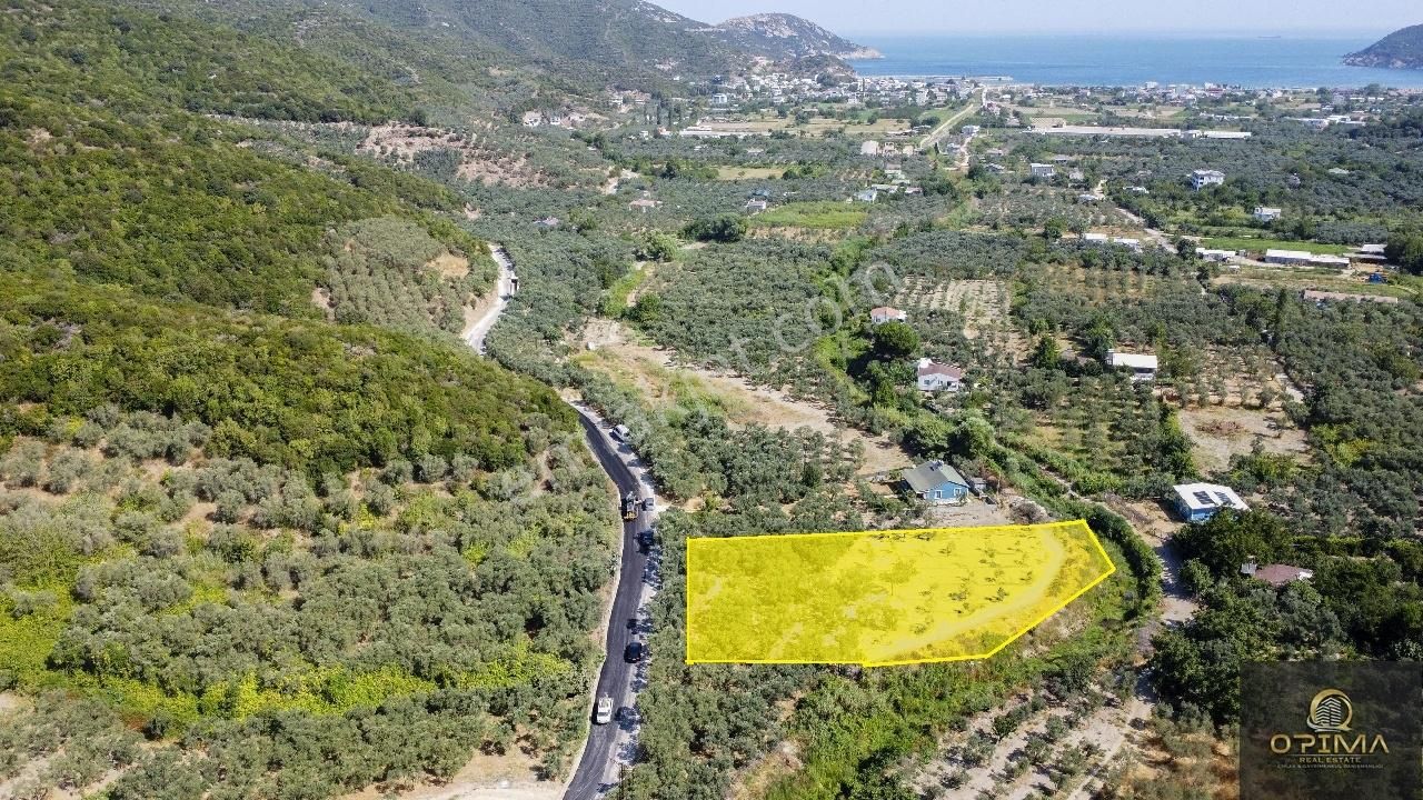 Opimadan Turanlarda Ana Yola Cephe 2840m² Satılık Zeytinlik - Görsel 7
