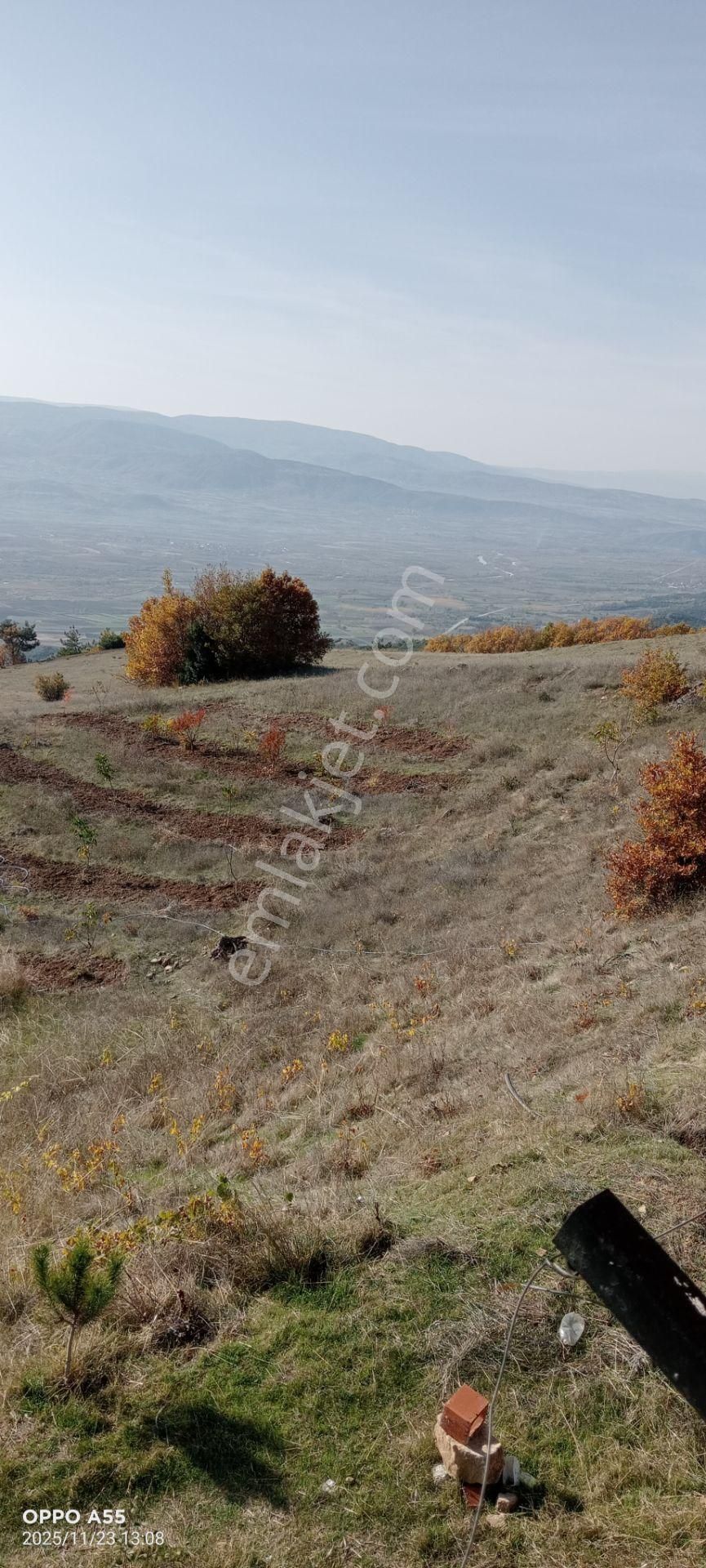 Adalet Gold Group Emlak'tan Şeyhler Küyünde Satılık Tarla 14.000 M2