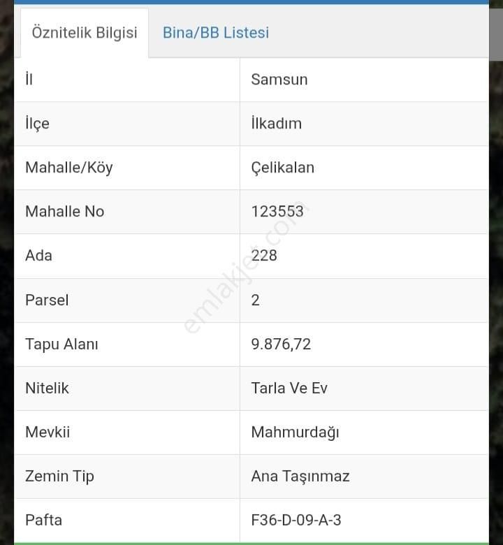 Samsun İlkadımda Satılık Fındık Bahçeli Arsa