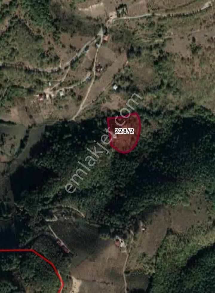 Samsun İlkadımda Satılık Fındık Bahçeli Arsa - Görsel 2