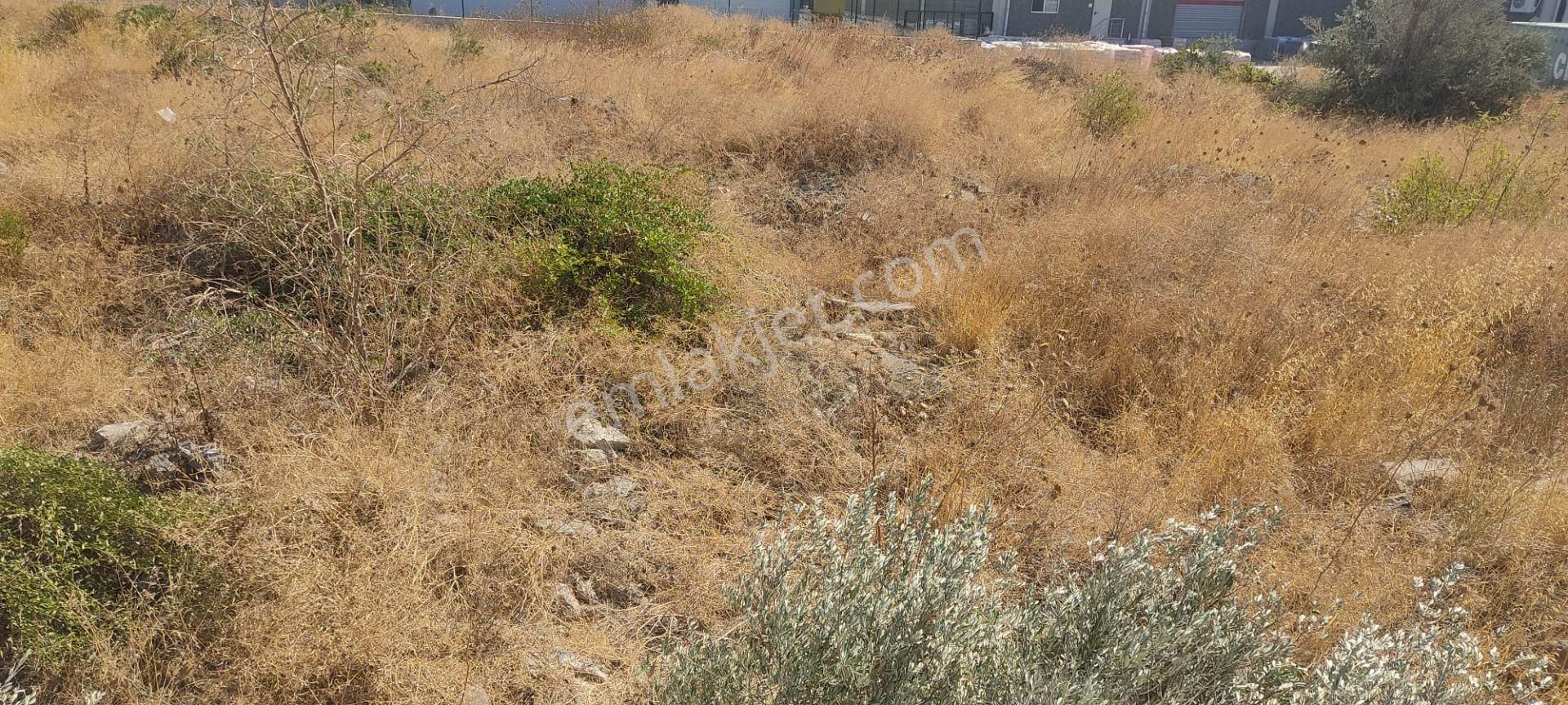 İlay Group Tan Bornova Pınarbaşında Fabrika Bölgesinde Yatırımlık Satılık Arsa - Görsel 12