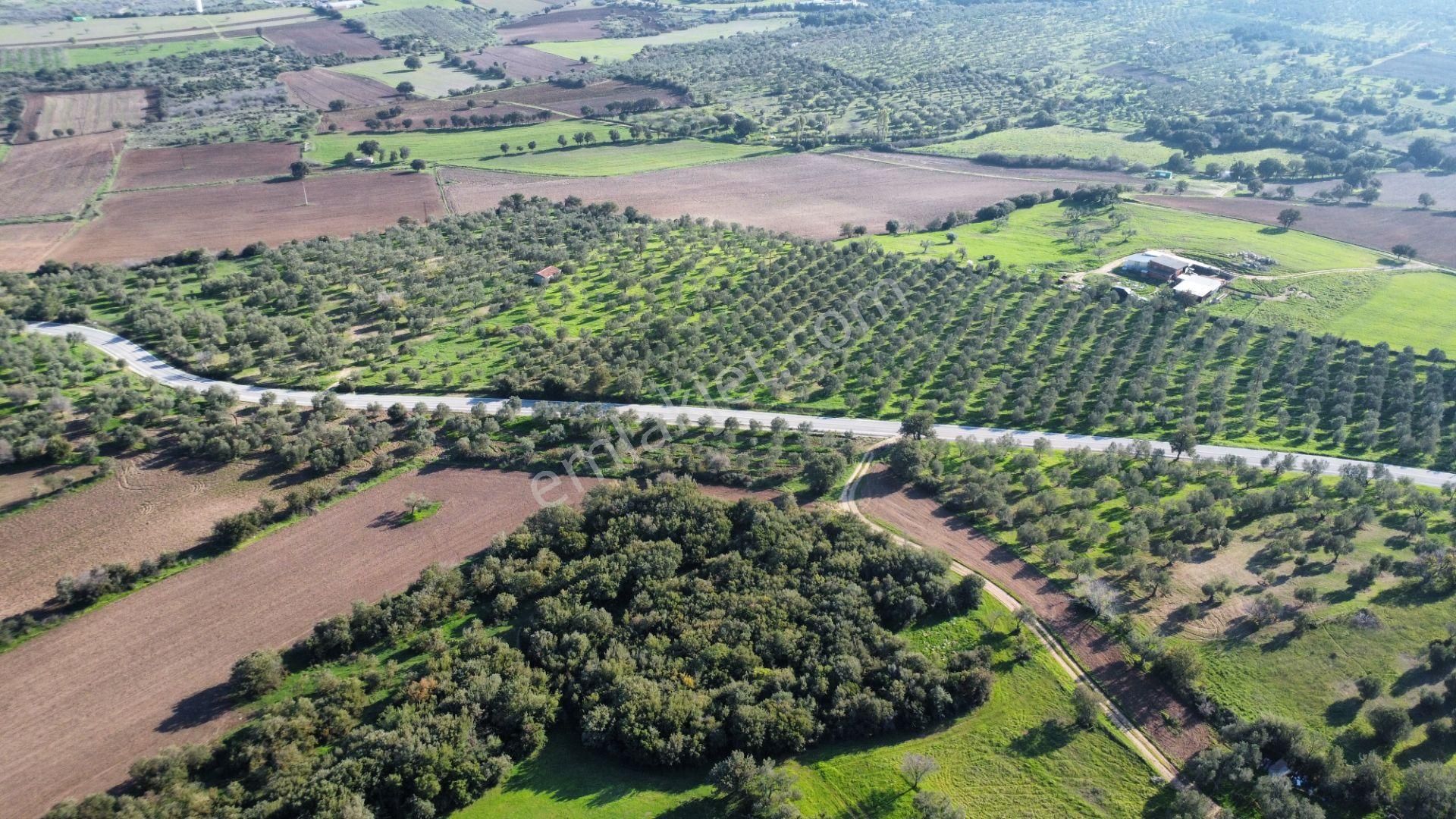 Çanakkale Han Emlak Otomotiv'den Üvecik Köyünde Satılık Arsa - Görsel 20