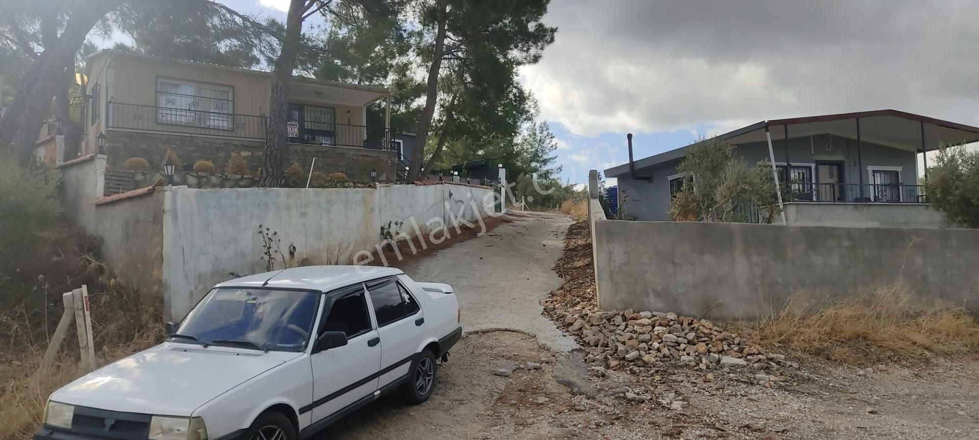 İlay Grouptan Torbalı Karakızlarda Satılık Zeytinlik - Görsel 6