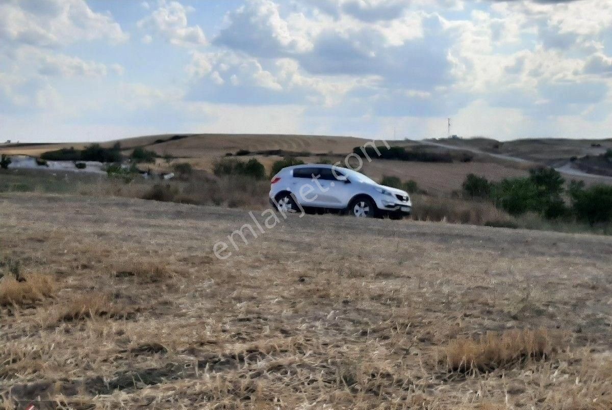 Şerbettar'da 12.450 M2 Çiflik Yapmak İsteyenlere - Görsel 7