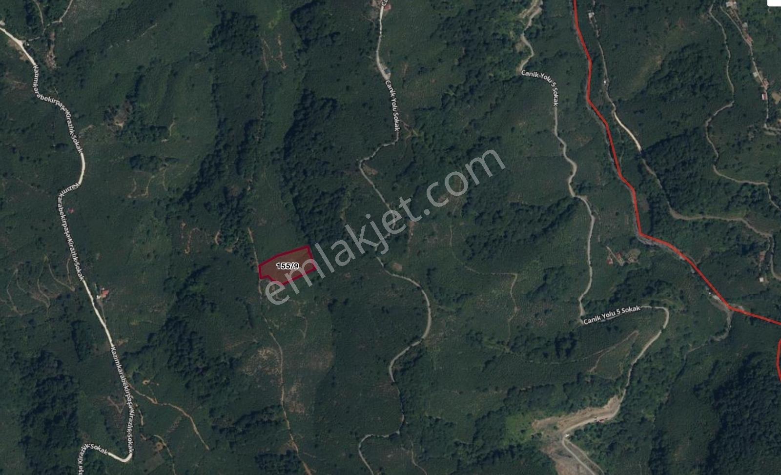 Truva'dan Terme'de Satılık 7850m2 Fırsat Yola Cephe Fındıklık - Görsel 2
