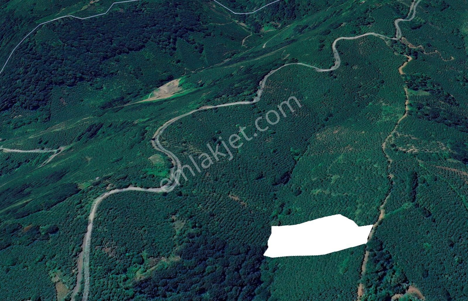 Truva // Burak Korkmaz'dan Satılık 7850m2 Fırsat Fındıklık - Görsel 5