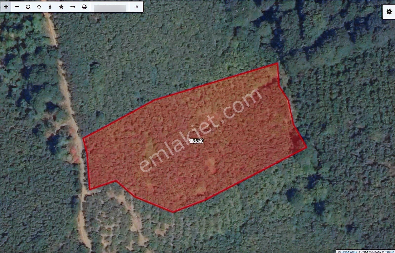 Truva'dan Terme'de Satılık 7850m2 Fırsat Yola Cephe Fındıklık - Görsel 5