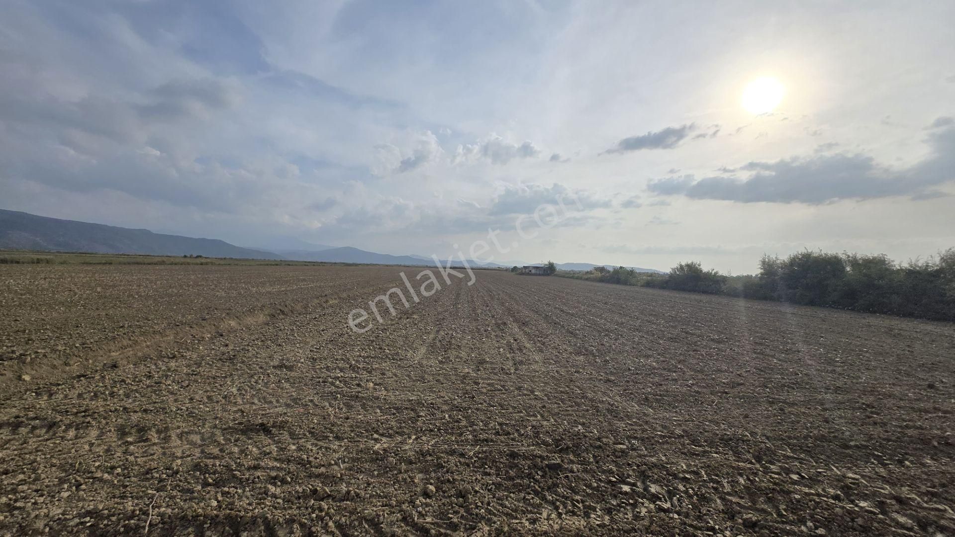 Aydın Söke Akçakaya'da 15.322 M2 Tek Tapu Pamuk Tarlası Satılık - Görsel 7