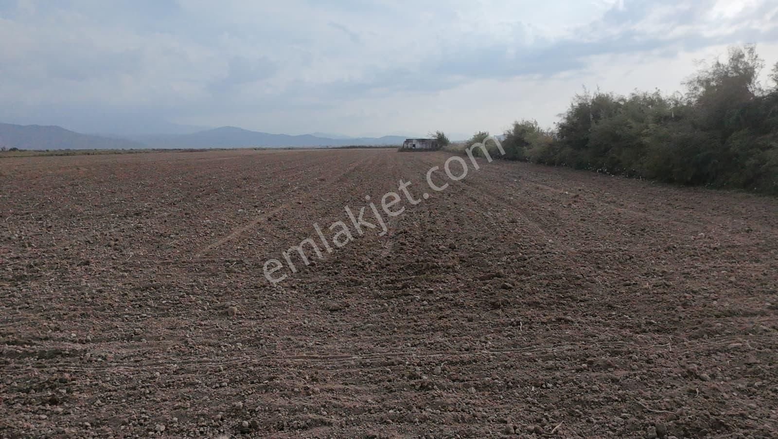 Aydın Söke Akçakaya'da 15.322 M2 Tek Tapu Pamuk Tarlası Satılık - Görsel 6