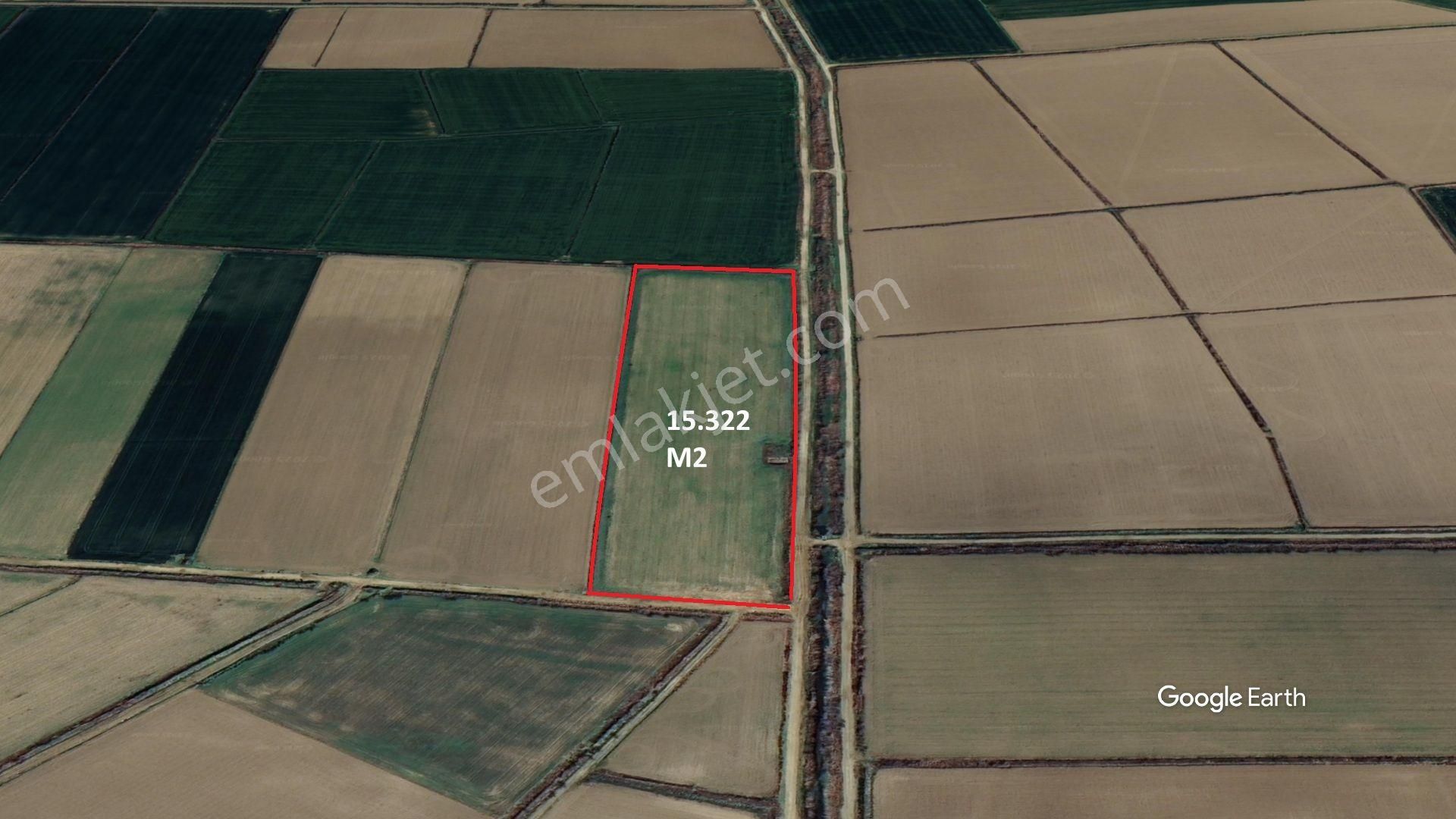 Aydın Söke Akçakaya'da 15.322 M2 Tek Tapu Pamuk Tarlası Satılık - Görsel 2