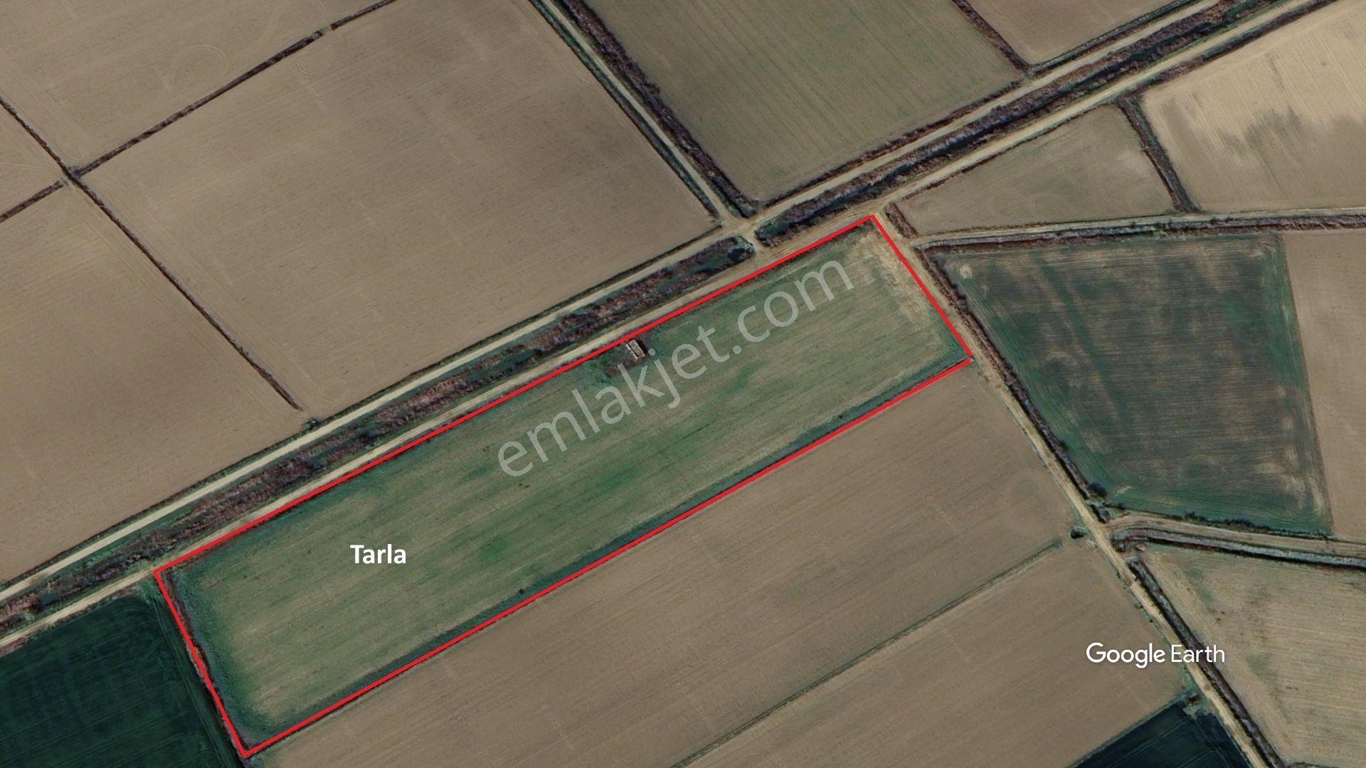 Aydın Söke Akçakaya'da 15.322 M2 Tek Tapu Pamuk Tarlası Satılık - Görsel 12