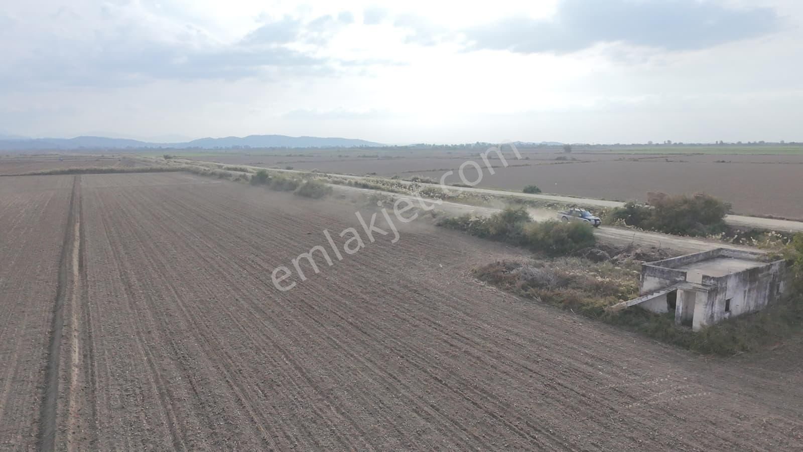 Aydın Söke Akçakaya'da 15.322 M2 Tek Tapu Pamuk Tarlası Satılık - Görsel 5