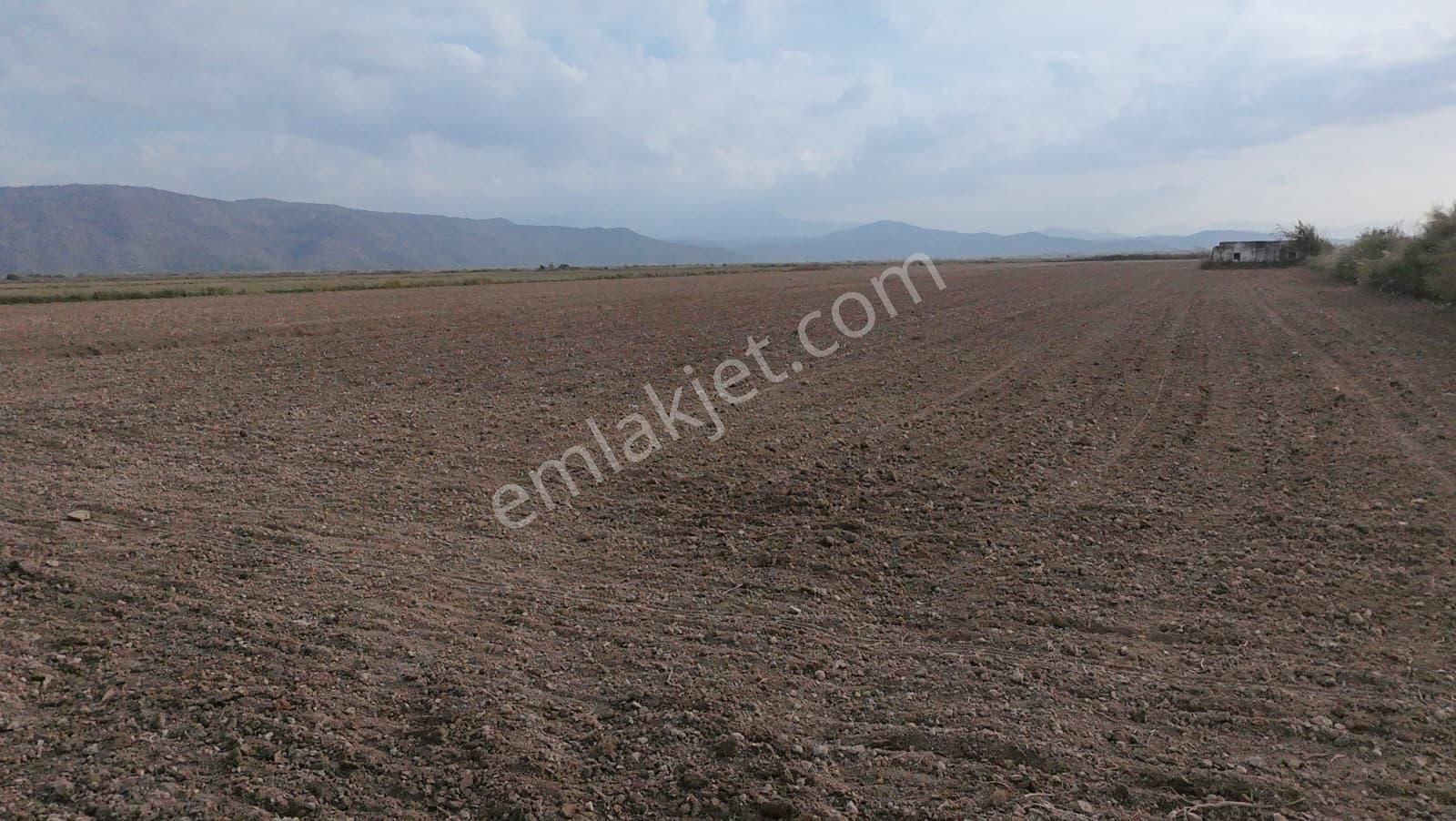 Aydın Söke Akçakaya'da 15.322 M2 Tek Tapu Pamuk Tarlası Satılık - Görsel 11