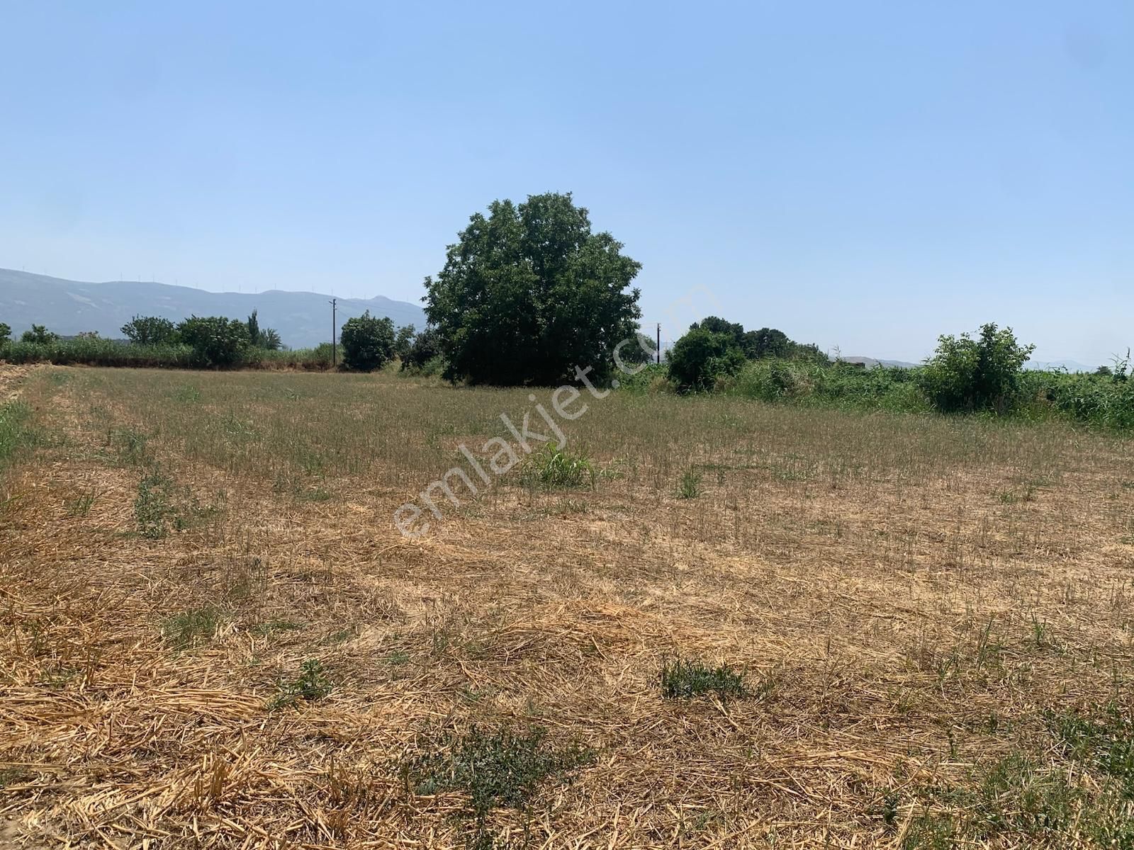 My Home Gayrimenkul'den Bayındır Pınarlı Mah.de Satılık Tarla - Görsel 14