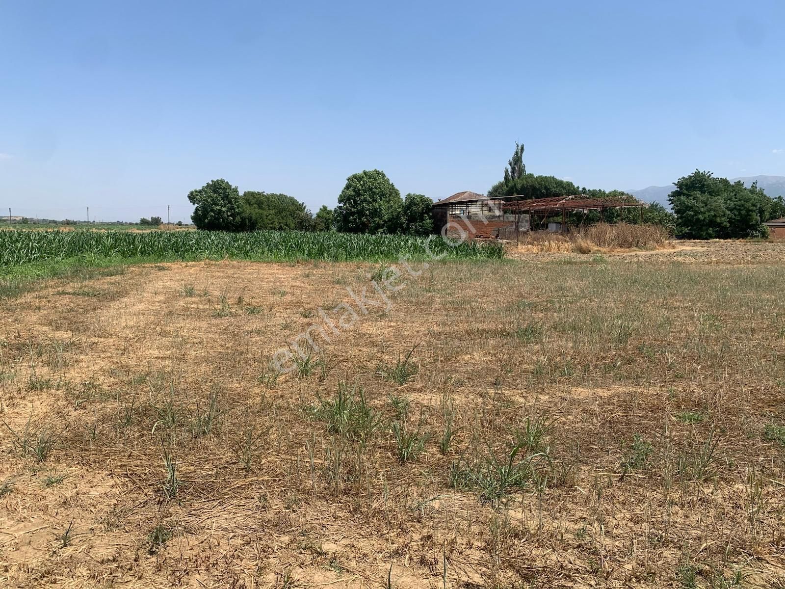 My Home Gayrimenkul'den Bayındır Pınarlı Mah.de Satılık Tarla - Görsel 17