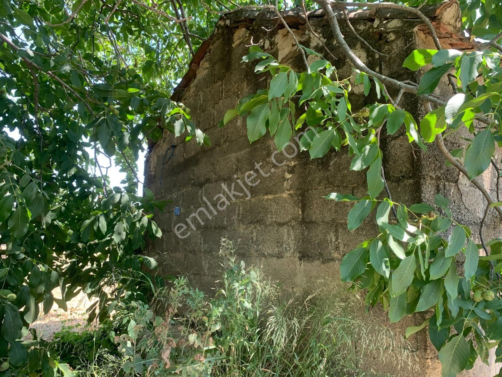 My Home Gayrimenkul'den Bayındır Pınarlı Mah.de Satılık Tarla - Görsel 6