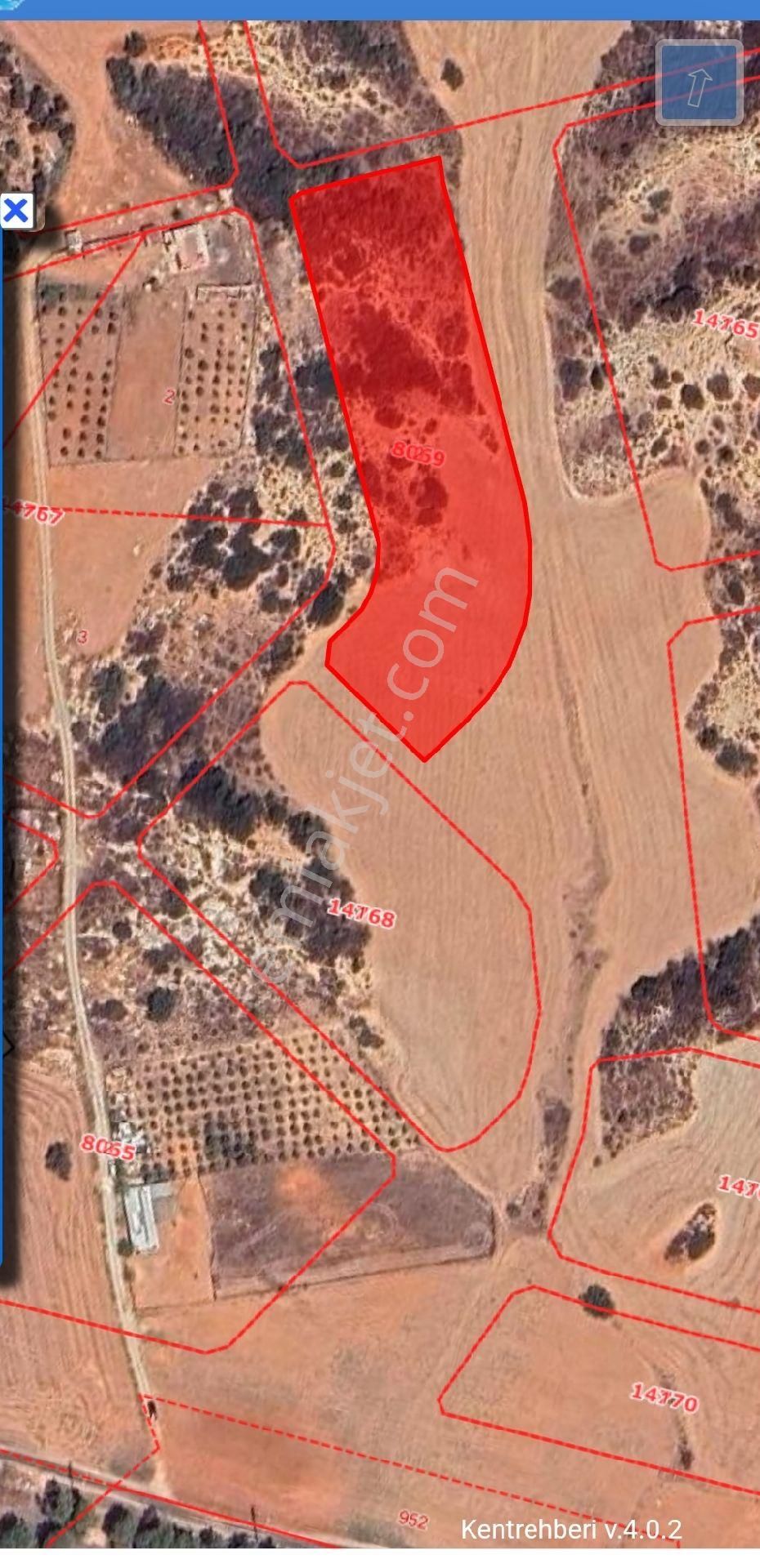 Cukurova Sanbayatta - Görsel 3