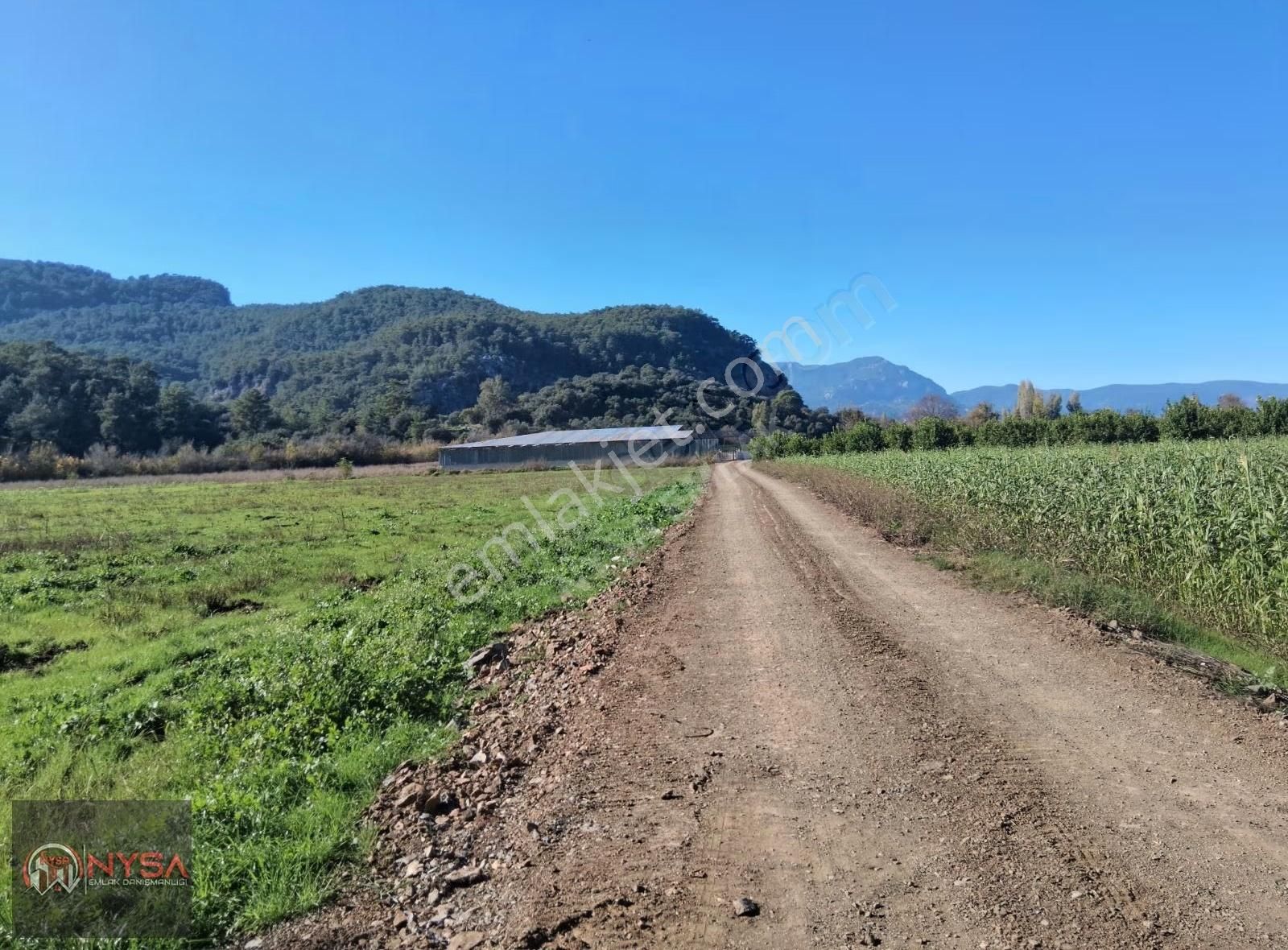 Nysa Emlak'tan 2.700 M2 Satılık Rızai Taksimli Hisseli Tarla - Görsel 16