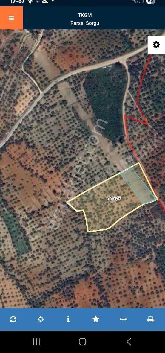 Müstakil Tapulu Muhteşem Konumda Zeytin Ve İncir Bahçeşi - Görsel 18