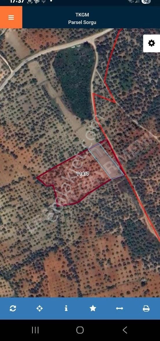 Müstakil Tapulu Muhteşem Konumda Zeytin Ve İncir Bahçeşi - Görsel 5