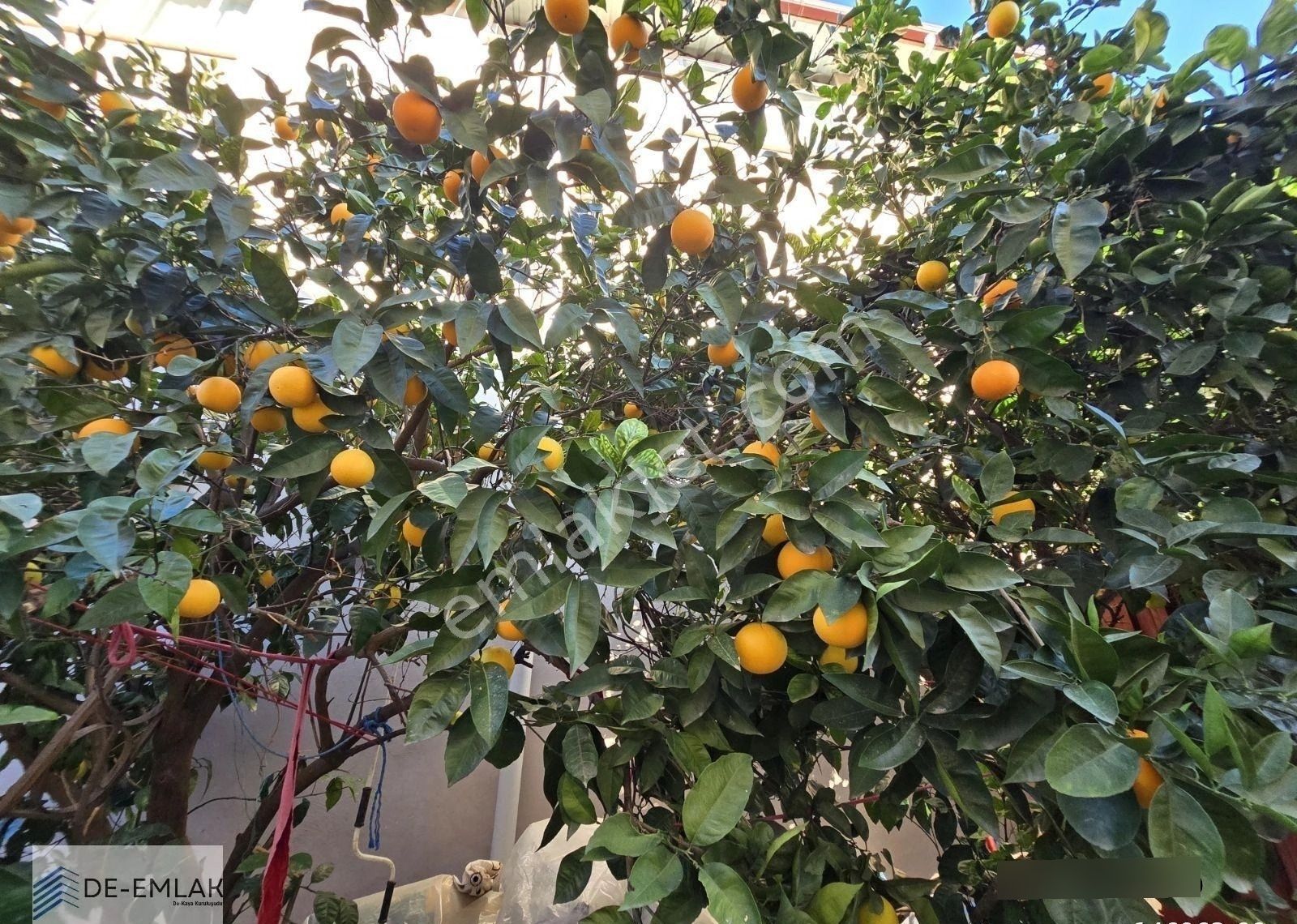 Ortacada Satılık Müstakil Ev - Görsel 3