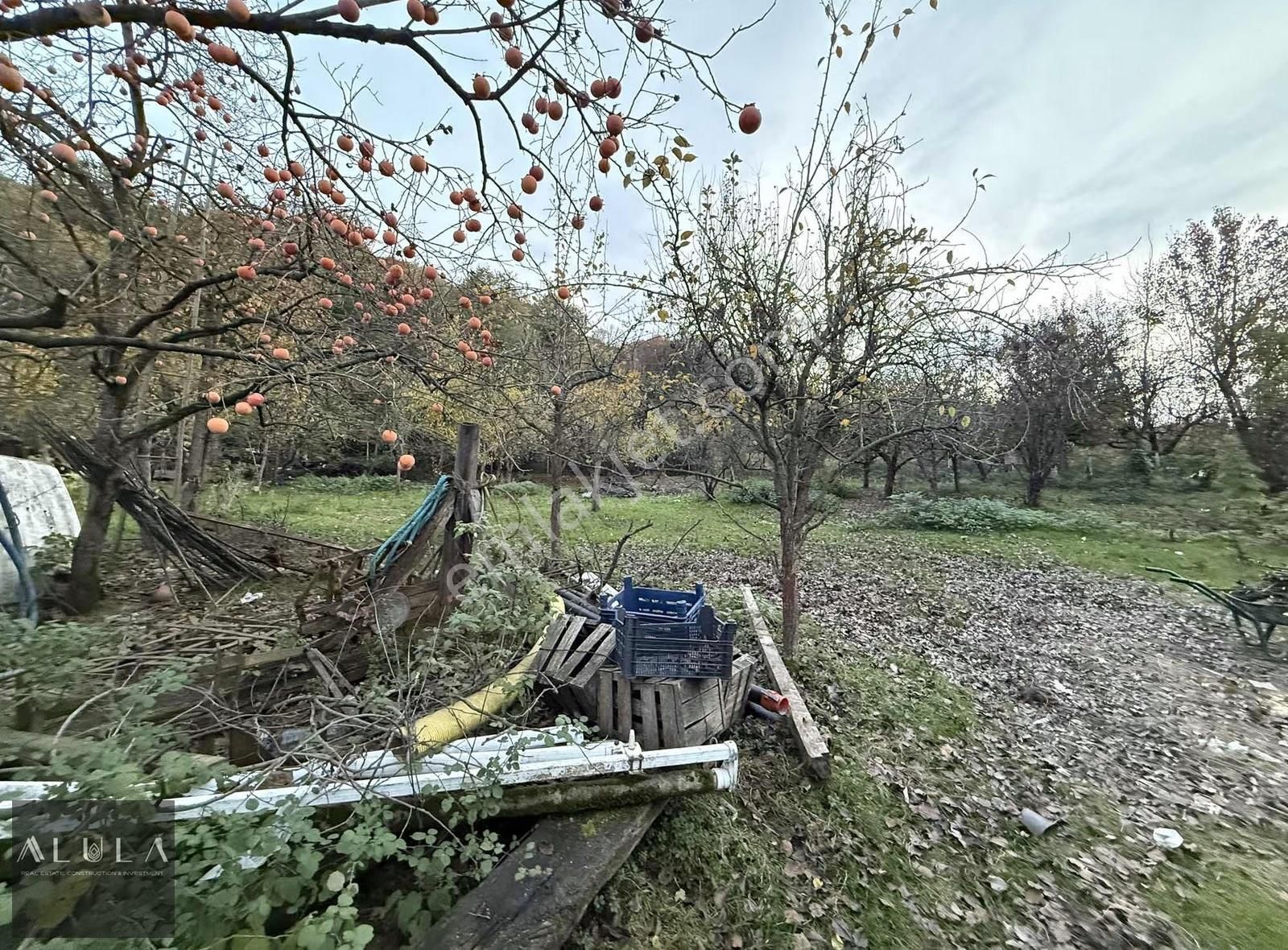 Kartepe Maşukiye'de Kiralık Muhteşem Konumda 2000m2 Arsa - Görsel 7