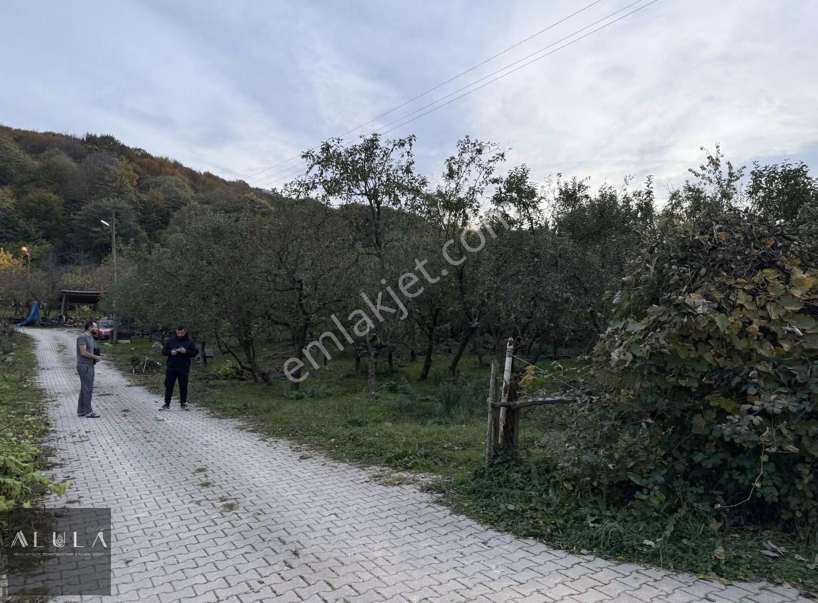 Kartepe Maşukiye'de Kiralık Muhteşem Konumda 2000m2 Arsa - Görsel 3