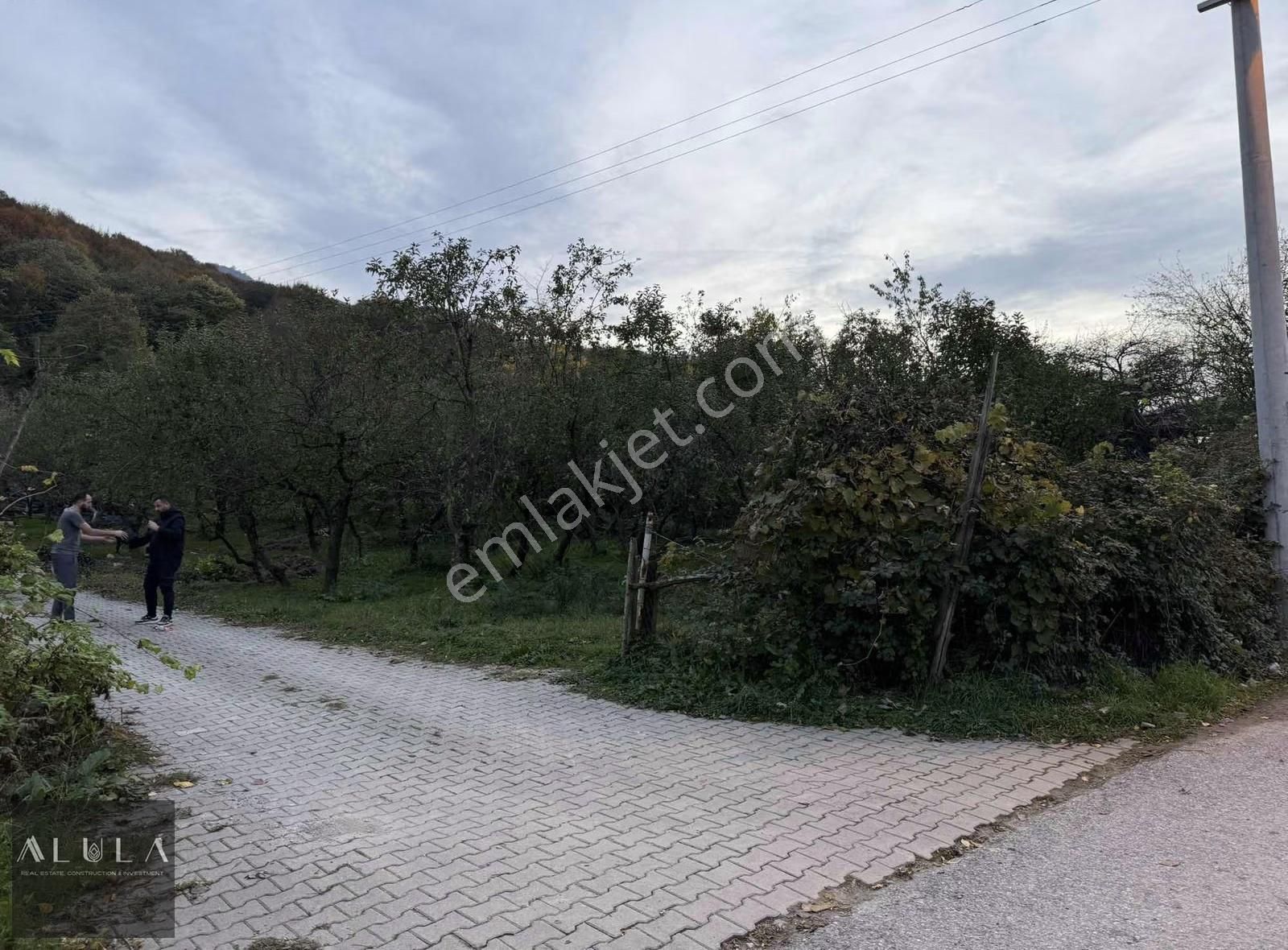 Kartepe Maşukiye'de Kiralık Muhteşem Konumda 2000m2 Arsa - Görsel 8